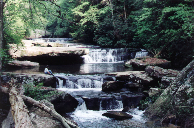 Bark Camp Creek Falls, Corbin Kentucky